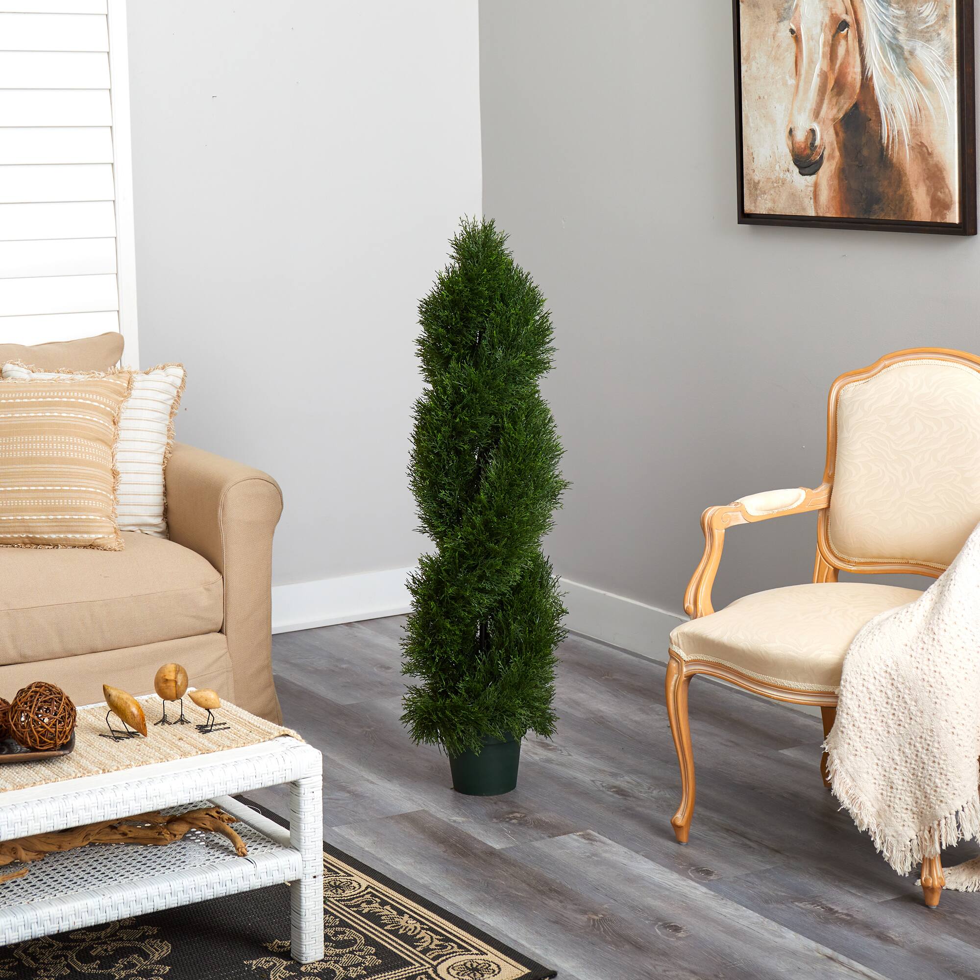 4ft. Potted Double Pond Cypress Spiral Topiary Tree